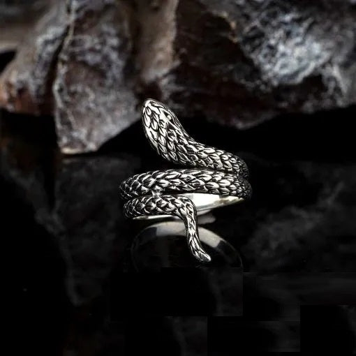 Snake Oxidized Silver Ring Main image