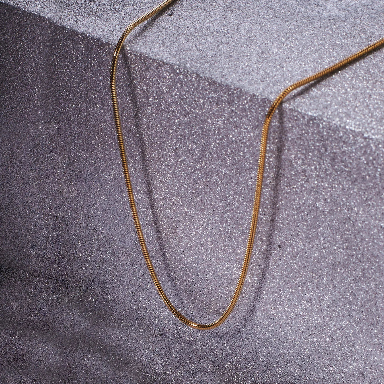 Round Snake Gold Chain Main image